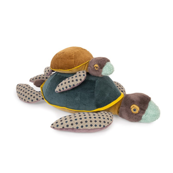 Tortuga pequeña "Tout autour du monde"