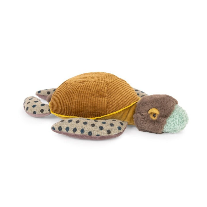 Tortuga pequeña "Tout autour du monde"