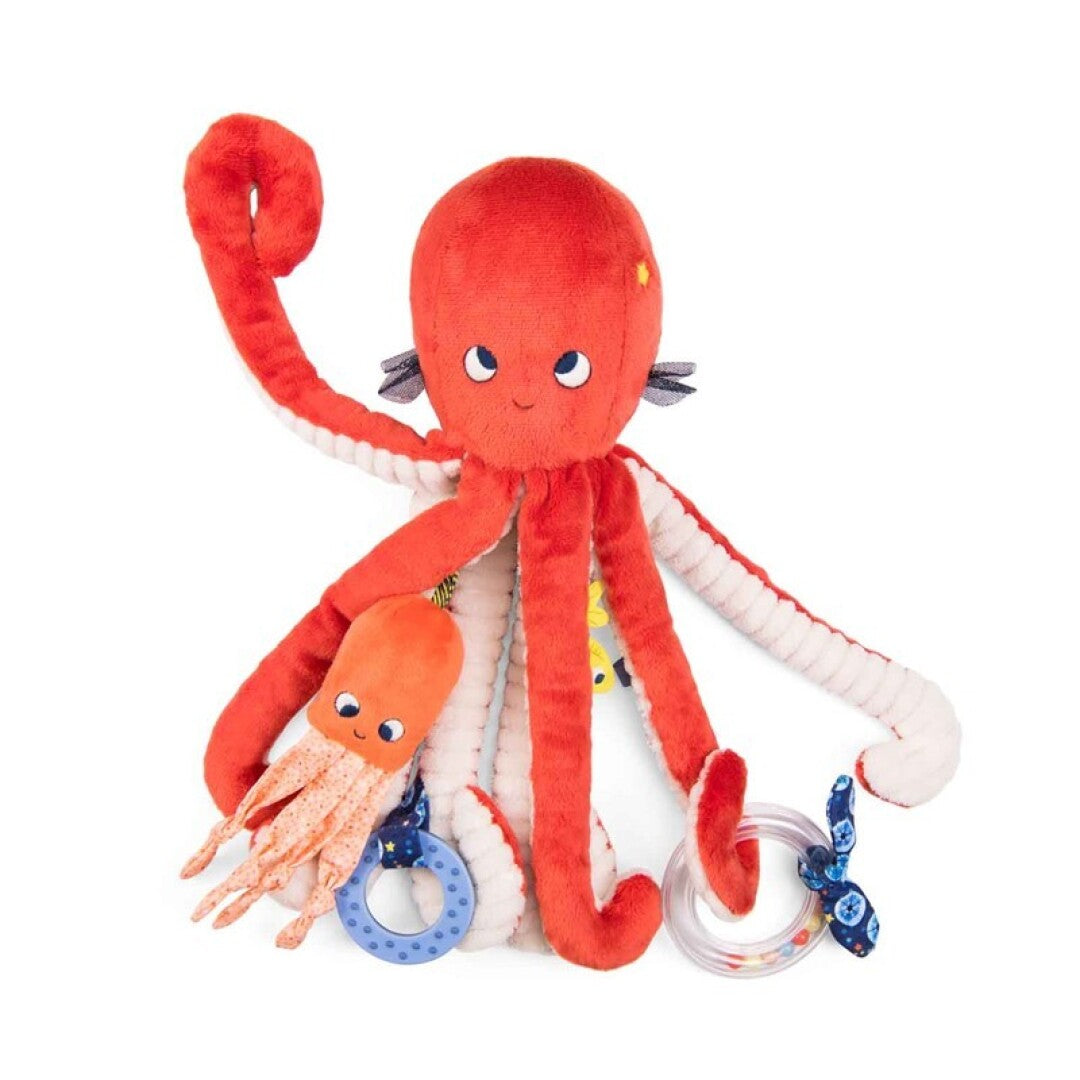 Gran Pulpo de actividades Aventuras de Paulie