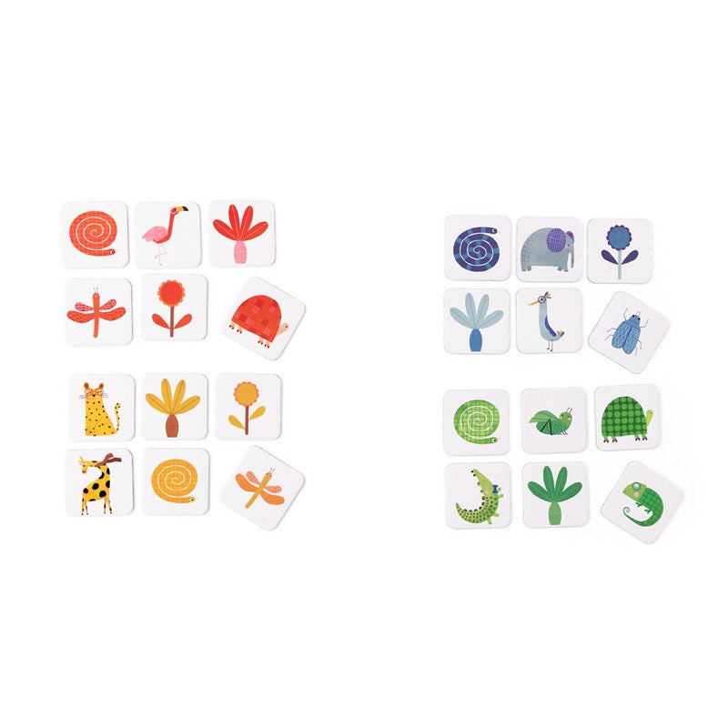 Loto de los colores Toupitis