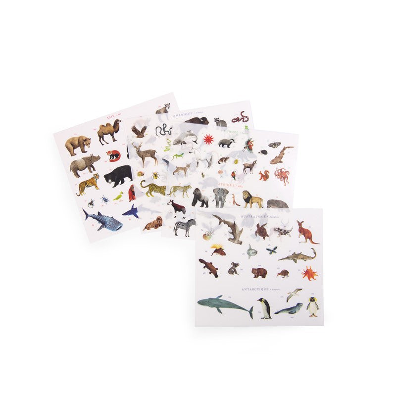 Mapamundi de Calcomanías Tout autour du monde