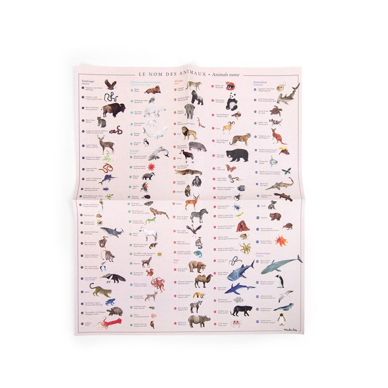 Mapamundi de Calcomanías Tout autour du monde