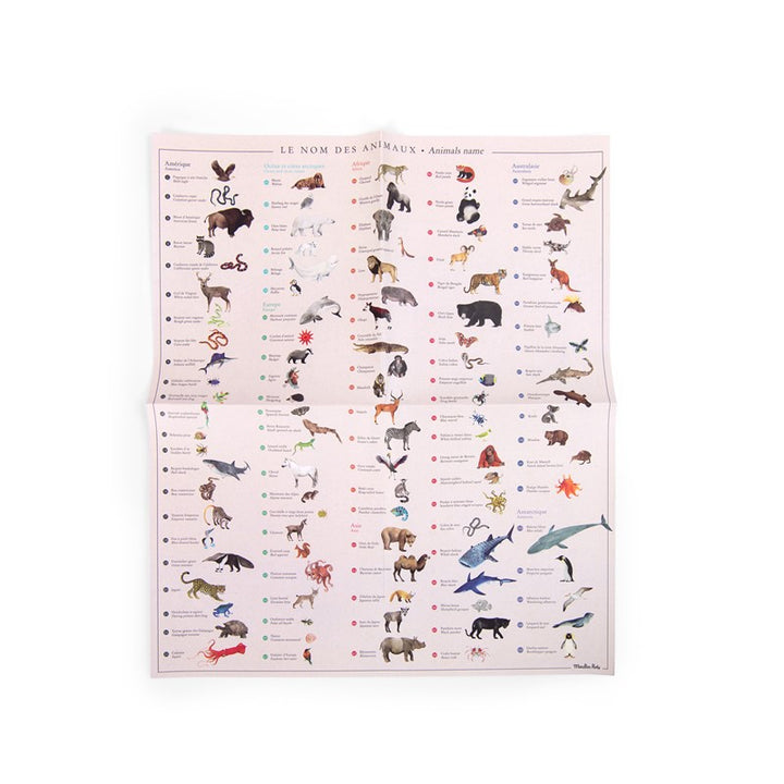 Mapamundi de Calcomanías Tout autour du monde