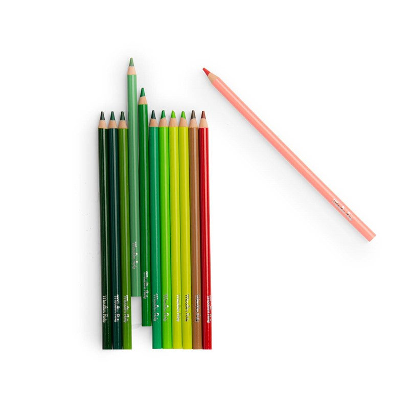 12 lápices de colores + tarjetas El botanista