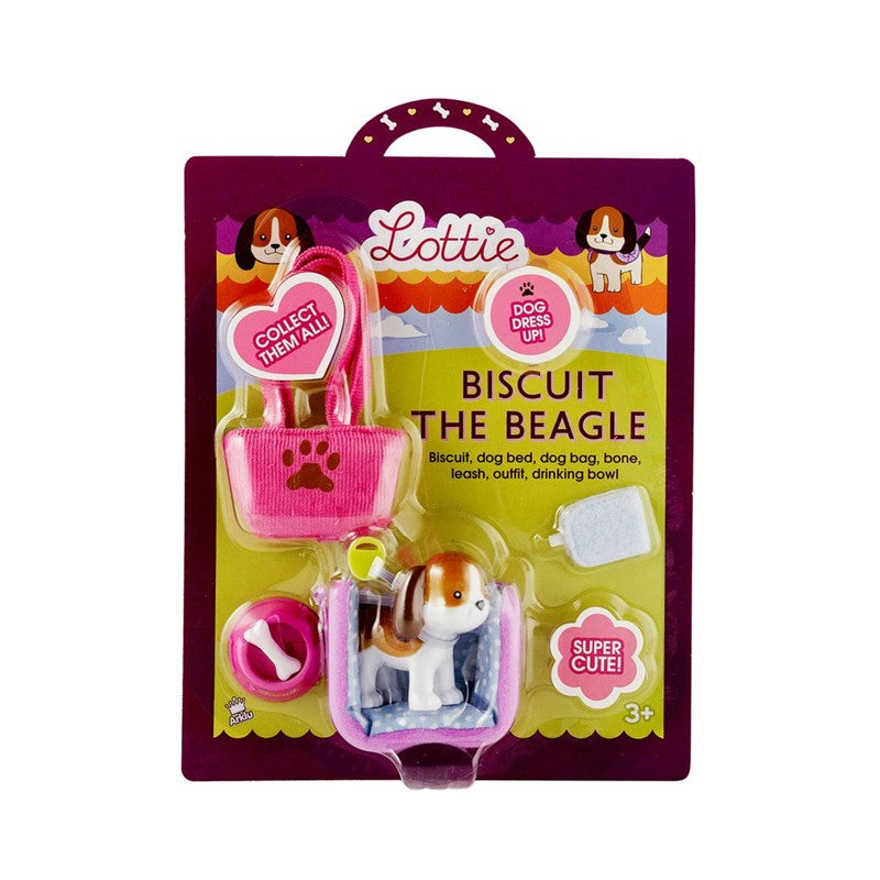 Accesorios para el perro Beagle