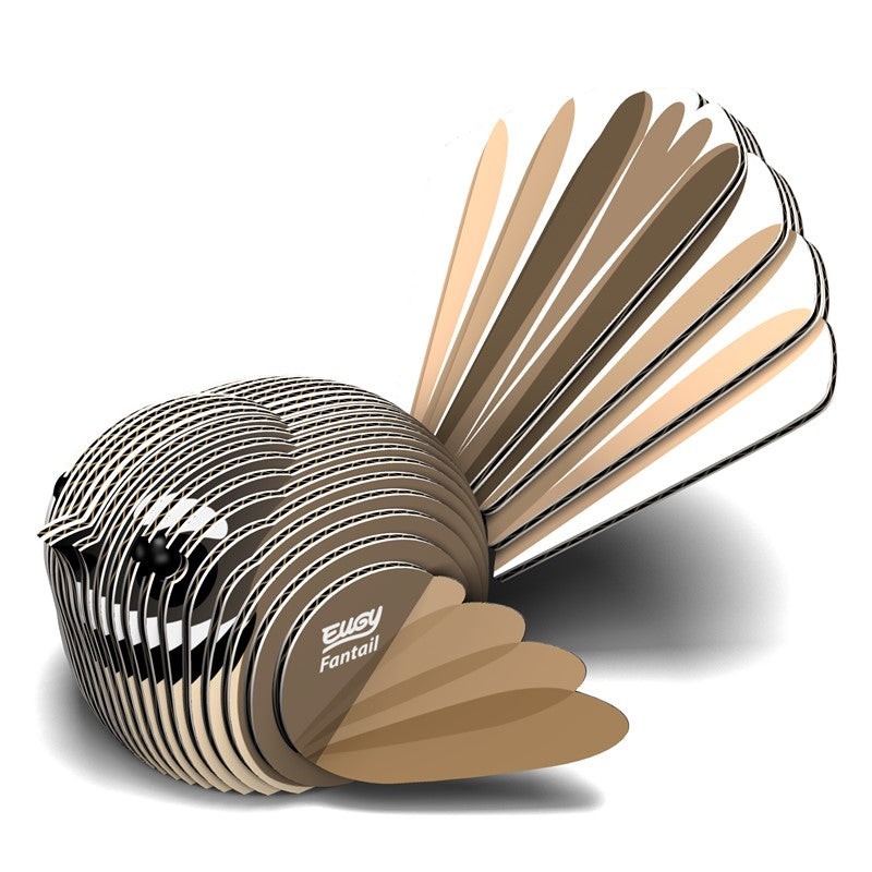 002 Fantail (Cola de milano)