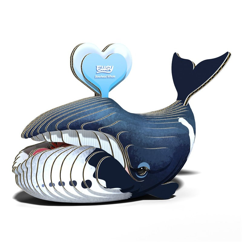 084 Bowhead Whale (Ballena de Groenlandia)