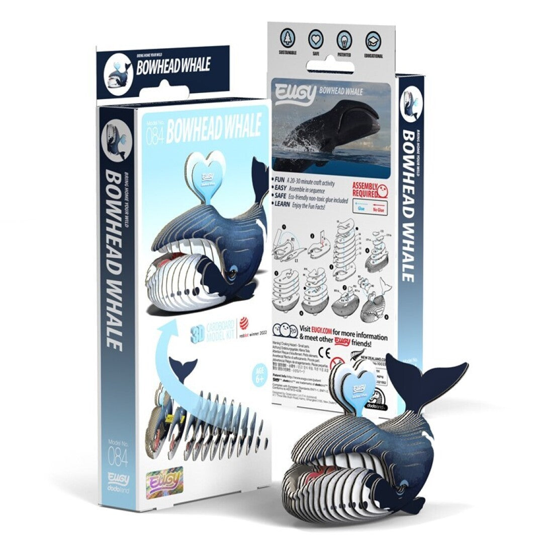 Ballena de Groenlandia (Eugy Dodoland)
