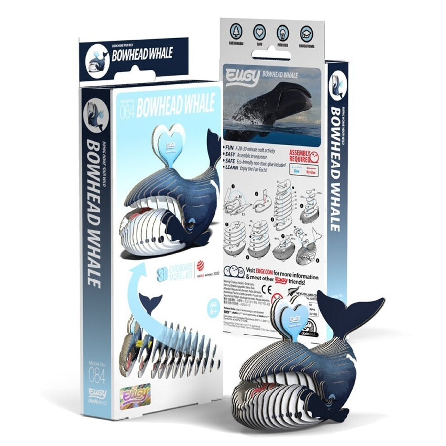 Ballena de Groenlandia (Eugy Dodoland)
