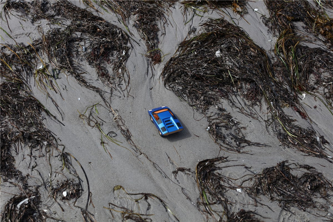 Coche clásico - UFO77 Leonessa, Azul