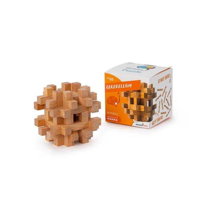 Brain Puzzle 5