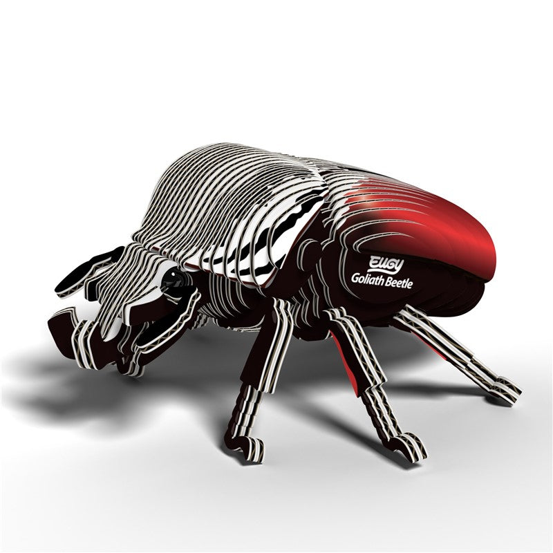 111 Goliath Beetle (Escarabajo Goliat)