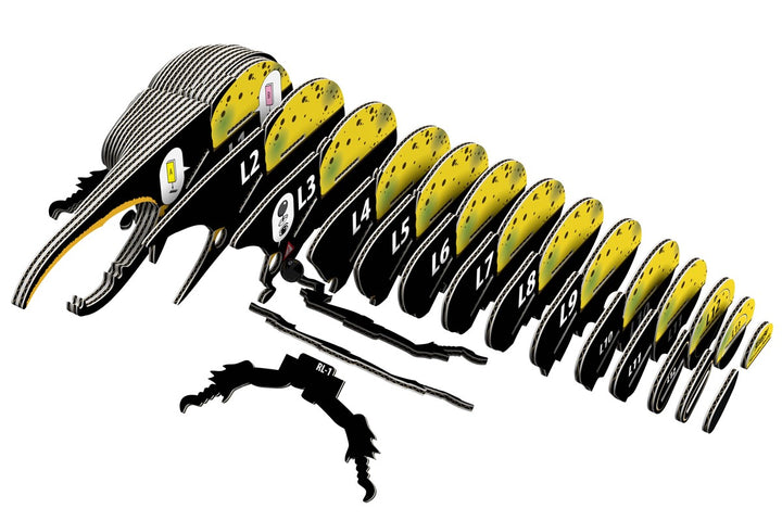 112 Hercules Beetle (Escarabajo Hércules)