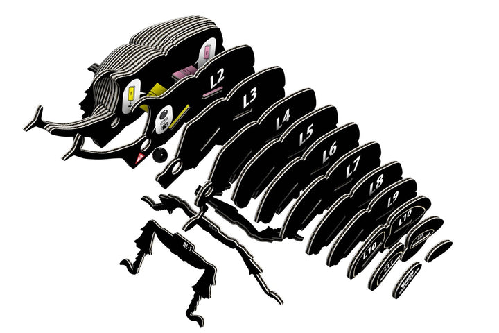 113 Rhino Beetle (Escarabajo Rhino)