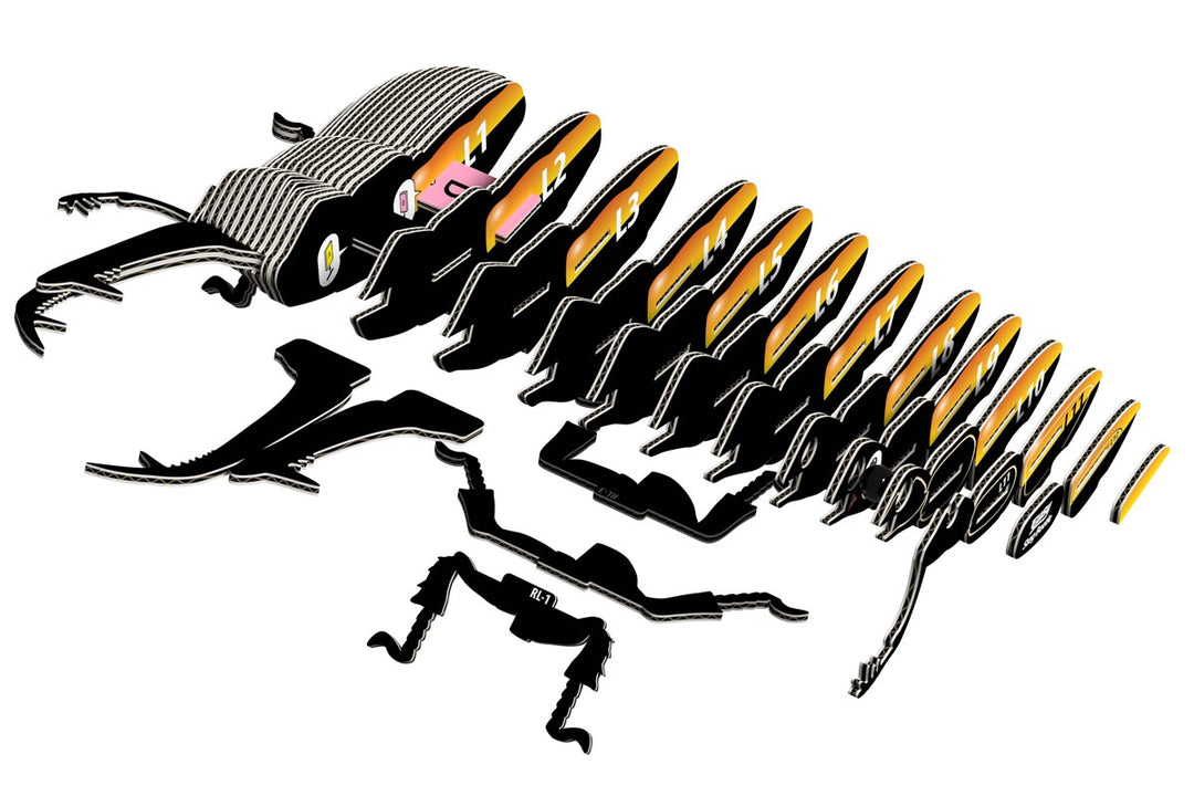 114 Stag Beetle (Escarabajo Stag)
