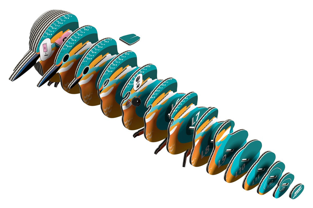 121 Kingfisher (martín pescador)