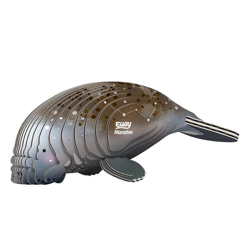 122 Manatee (manatí)