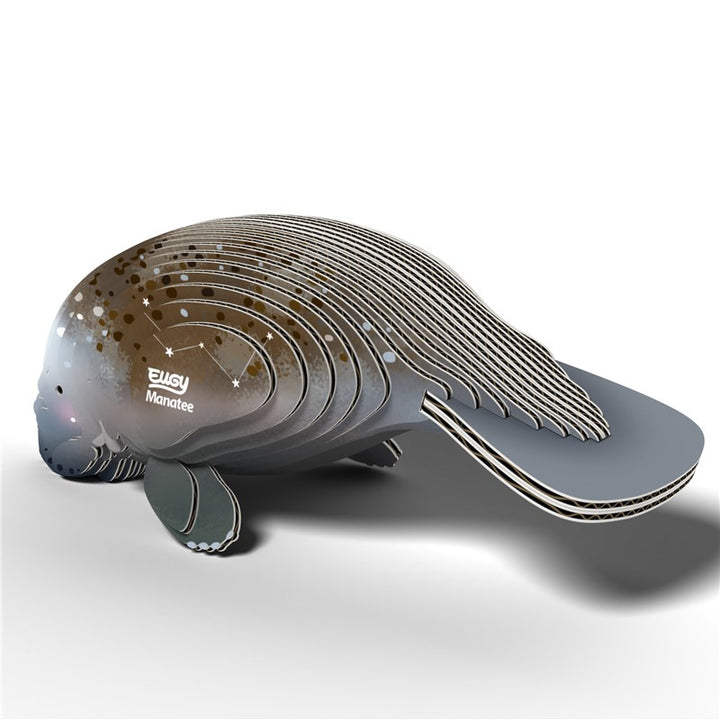 122 Manatee (manatí)