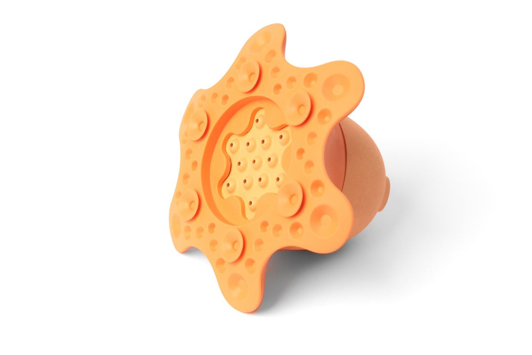 Flot - Tako, el pulpo