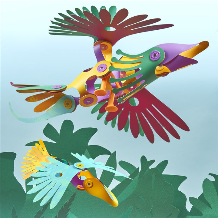 Tropical Birds