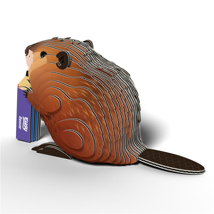 127 Beaver (Castor)
