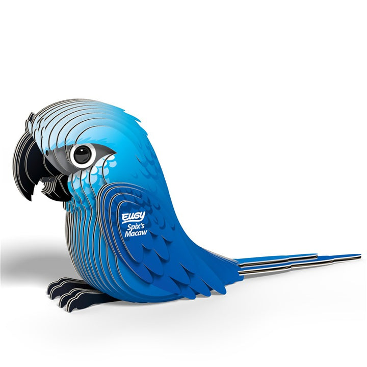 123 Spix`s Macaw (Guacamayo de Spix)