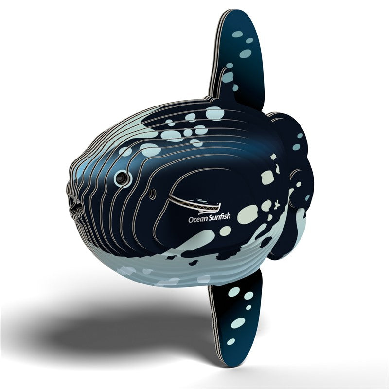 132 Ocean Sunfish