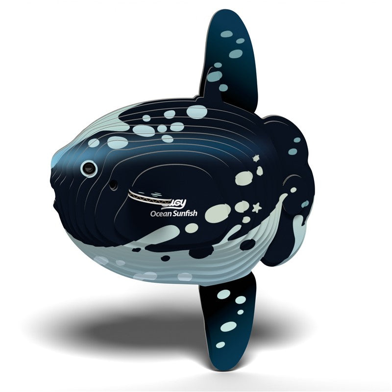 132 Ocean Sunfish