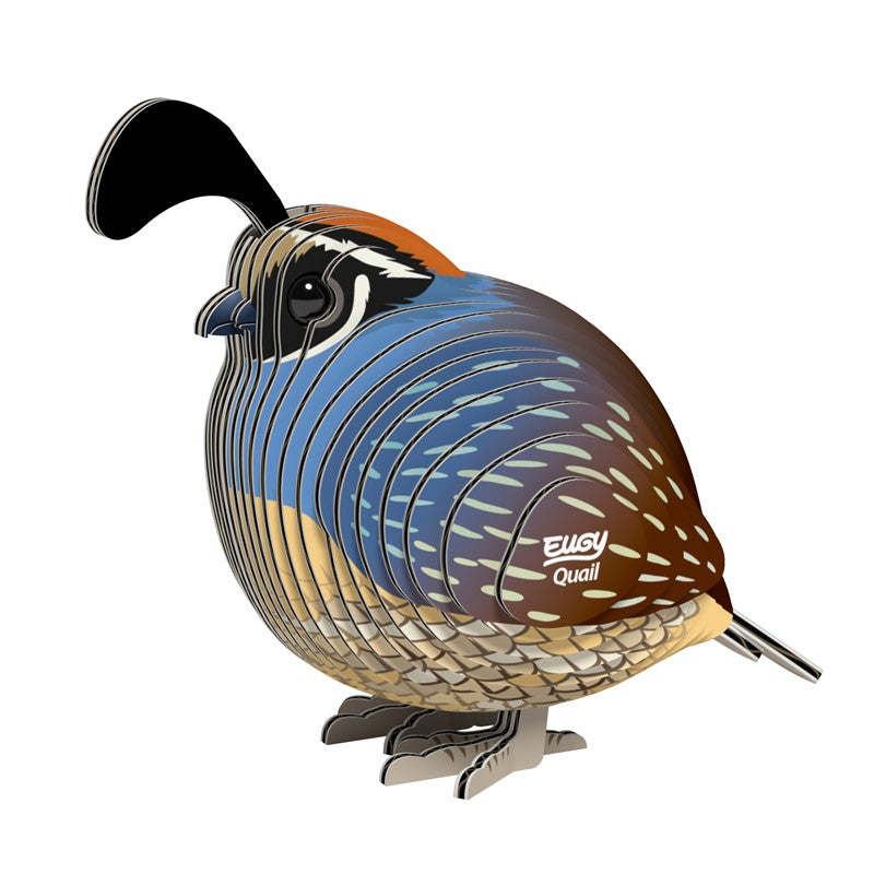 129 Quail (Codorniz)