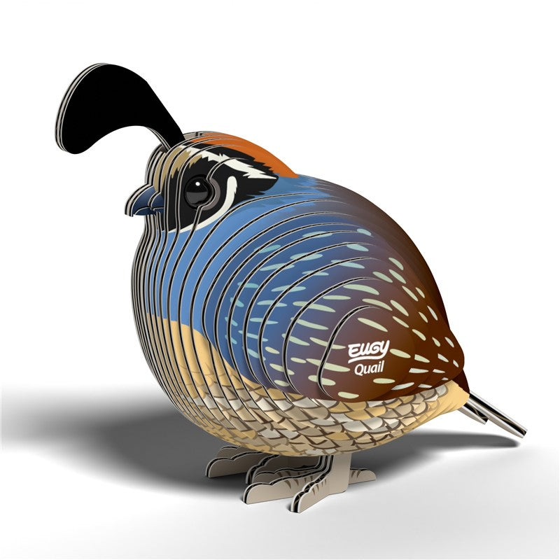 129 Quail (Codorniz)