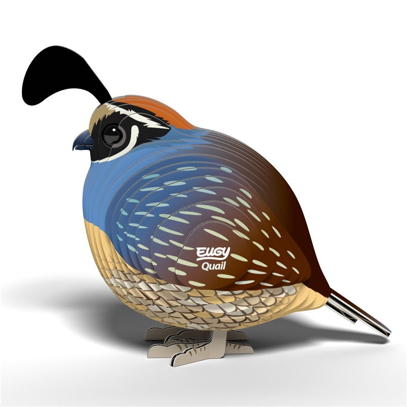 129 Quail (Codorniz)