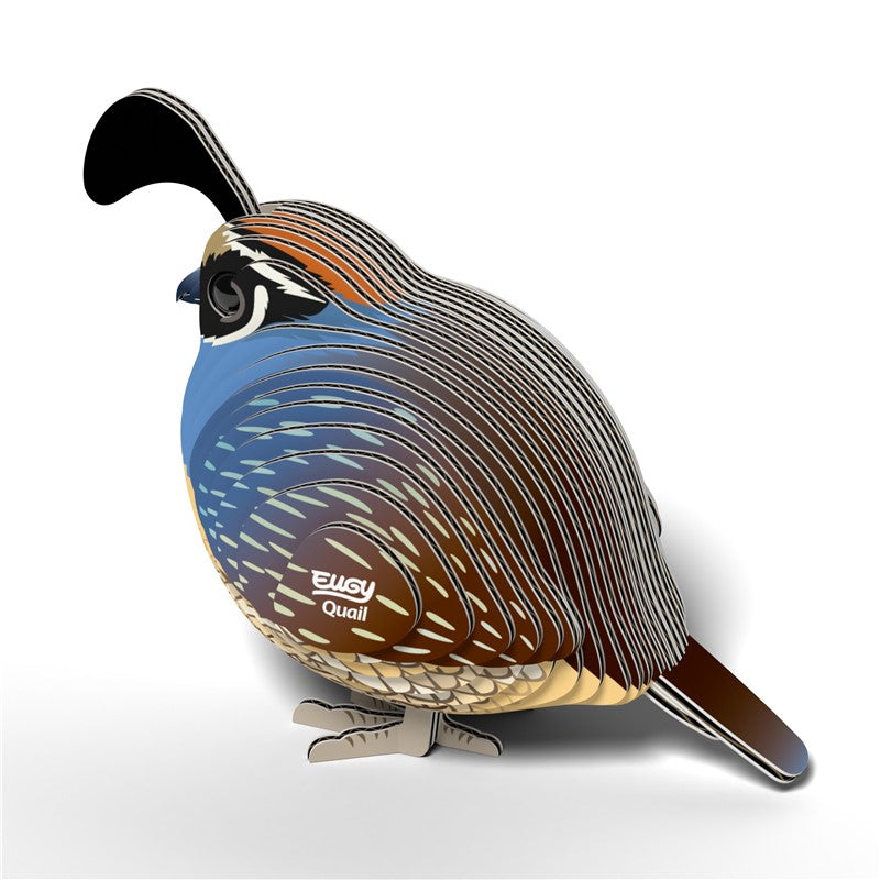 129 Quail (Codorniz)