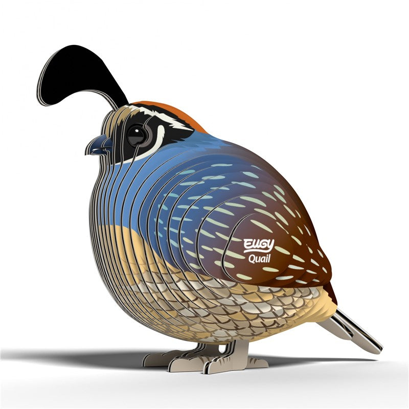 129 Quail (Codorniz)