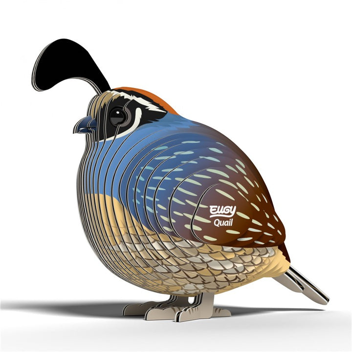 129 Quail (Codorniz)