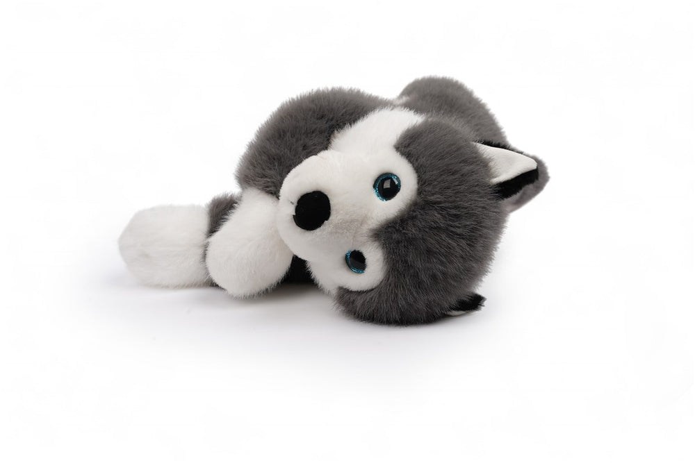 Tu amigo SCOUT, el Husky