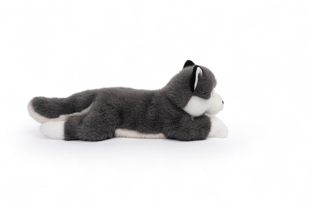 Tu amigo SCOUT, el Husky
