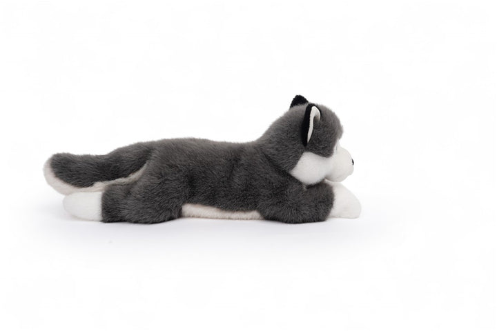 Tu amigo SCOUT, el Husky