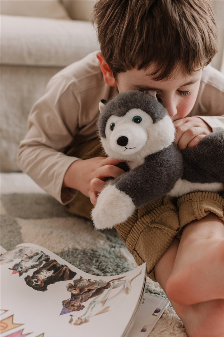 Tu amigo SCOUT, el Husky