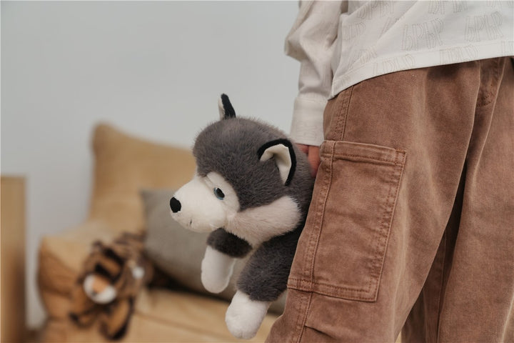 Tu amigo SCOUT, el Husky