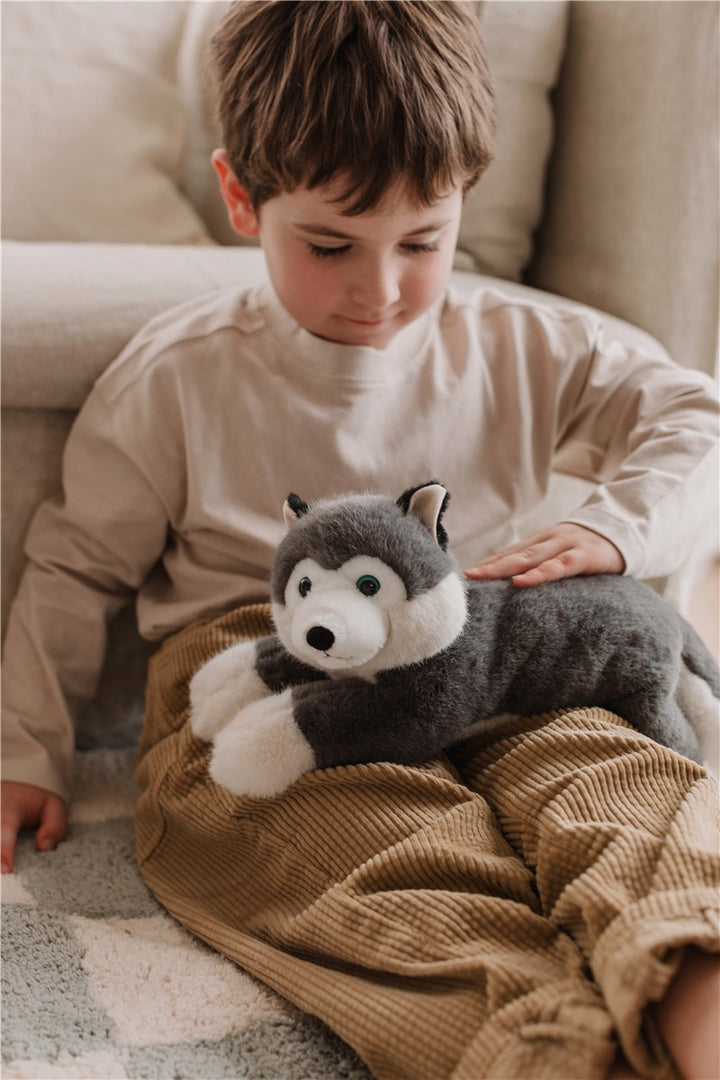 Tu amigo SCOUT, el Husky