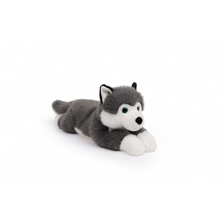 Tu amigo SCOUT, el Husky