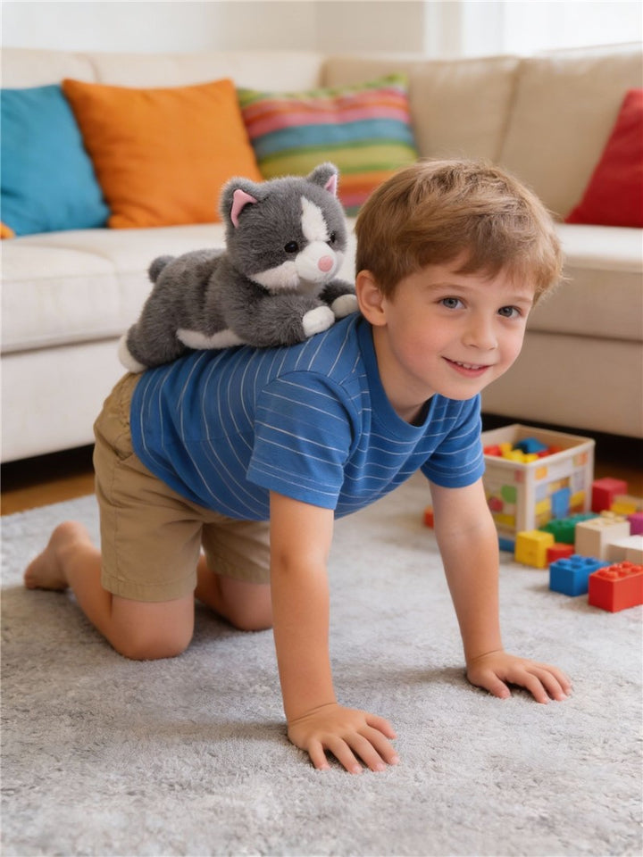 Tu amiga MISTY, el Gato Gris