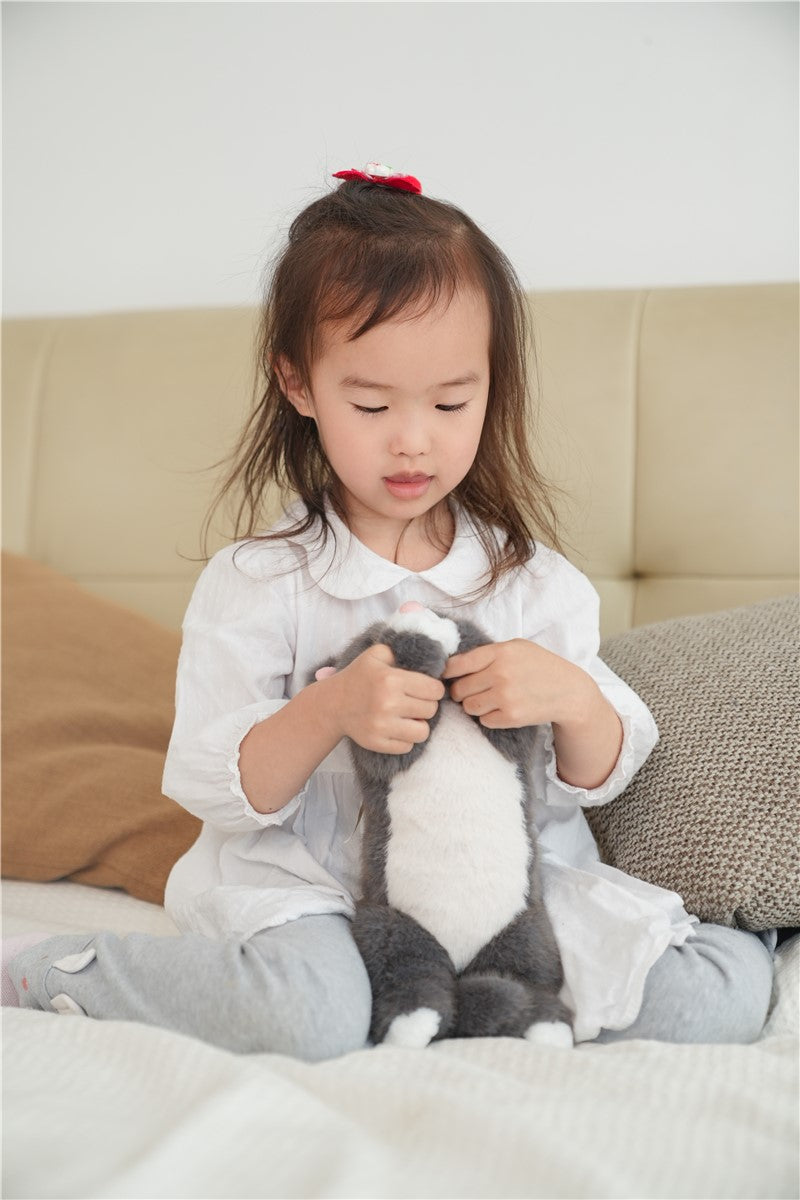 Tu amiga MISTY, el Gato Gris