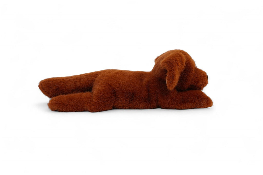 Tu amigo BUDDY, el Labrador/Retriever