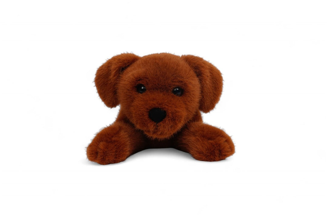 Tu amigo BUDDY, el Labrador/Retriever