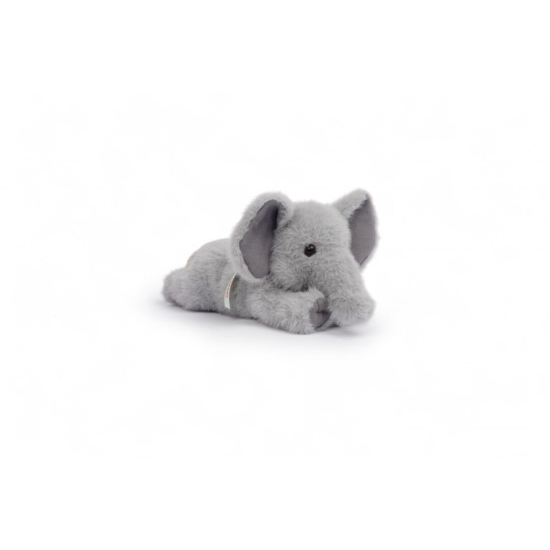 Tu amigo TAI, el Elefante