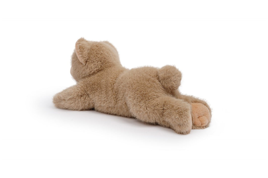 Tu amigo LITTLE, el Oso Marrón