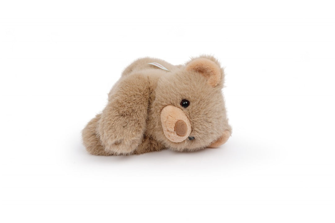 Tu amigo LITTLE, el Oso Marrón
