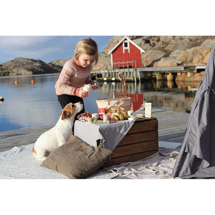 Cesta Picnic en la Provenza FSC