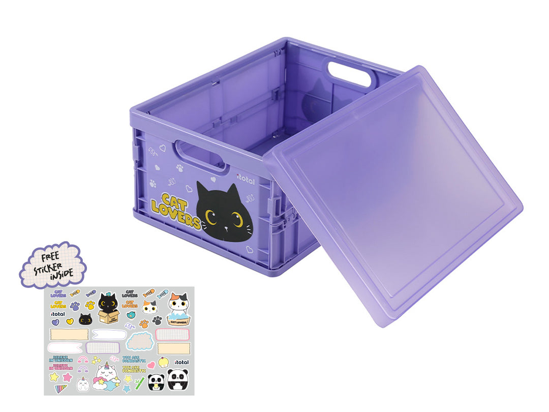 Cajas plegables surtidas Black Cat